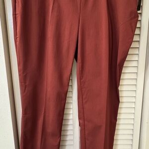 Briggs New York Women's Terracotta Straight Leg Pants